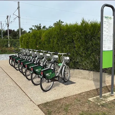 Strasbourg Moderne 7 Min Du Centre En Train Terrasse & Parking Gratuit * Mundolsheim