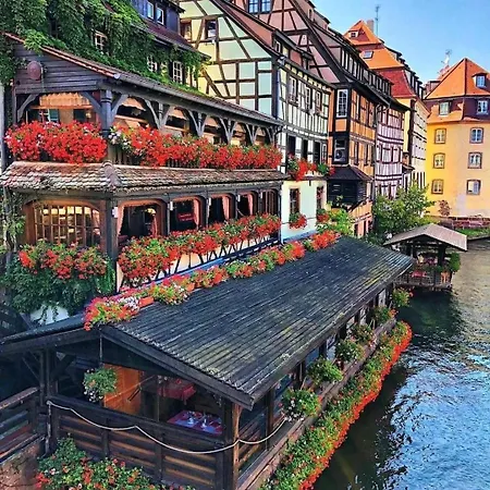 Strasbourg Moderne 7 Min Du Centre En Train Terrasse & Parking Gratuit شقة Mundolsheim